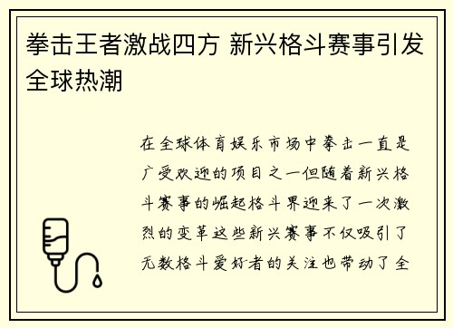 拳击王者激战四方 新兴格斗赛事引发全球热潮